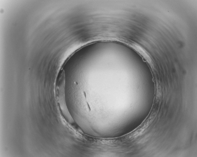 X0000087390958200705042007