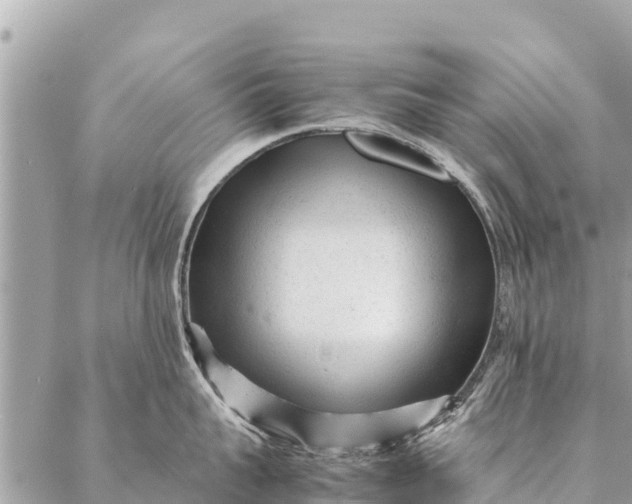 X0000087390959200705042007