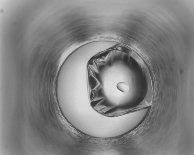 X0000087390960200705042007