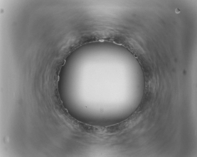 X0000087390961200705042006