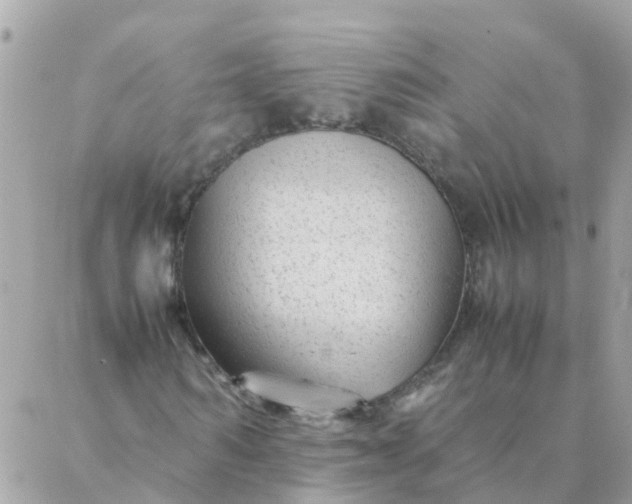 X0000087390962200705042006