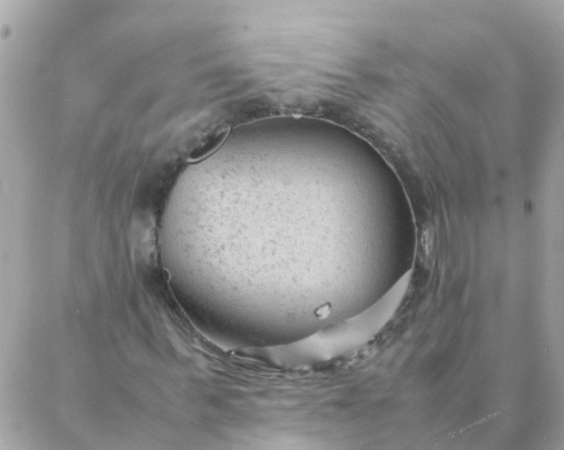 X0000087390963200705042006