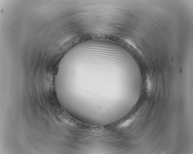 X0000087390964200705042006