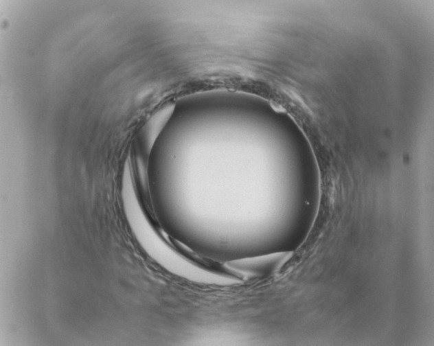 X0000087390965200705042006