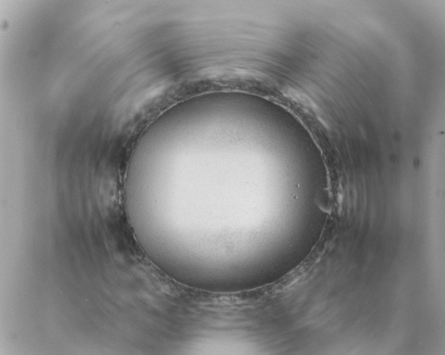 X0000087390966200705042006