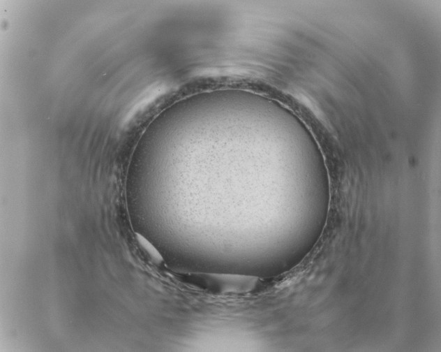 X0000087390967200705042006