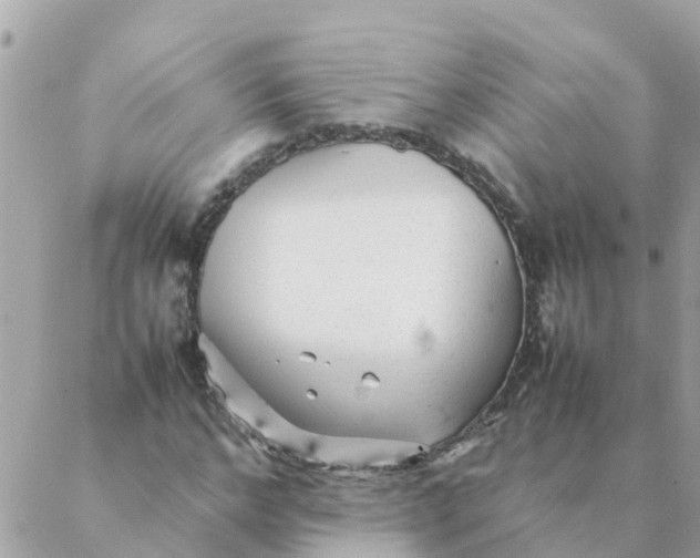 X0000087390968200705042006