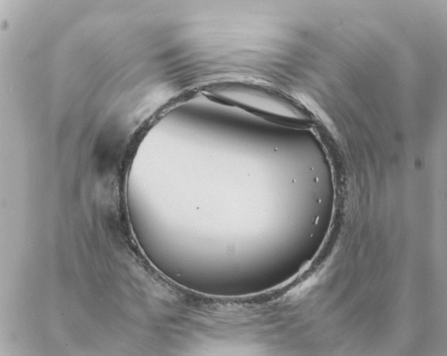 X0000087390969200705042006