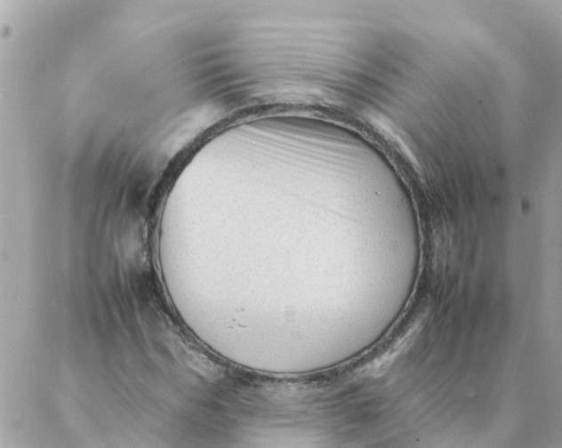 X0000087390970200705042006