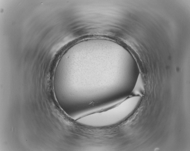 X0000087390971200705042006