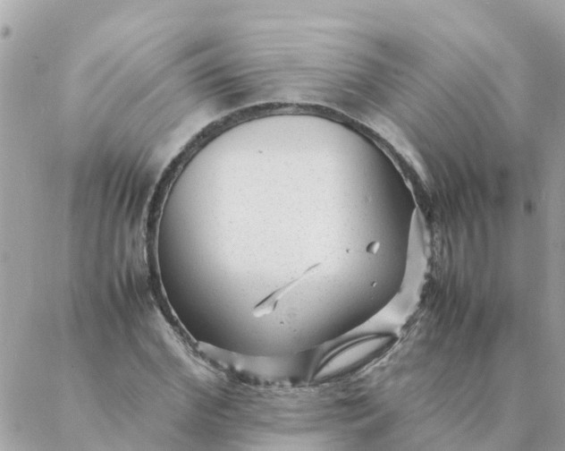 X0000087390972200705042006