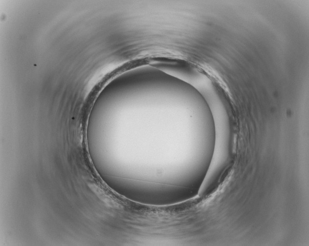 X0000087390973200705042006