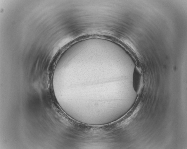 X0000087390974200705042006