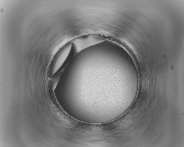 X0000087390975200705042006