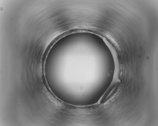 X0000087390976200705042006