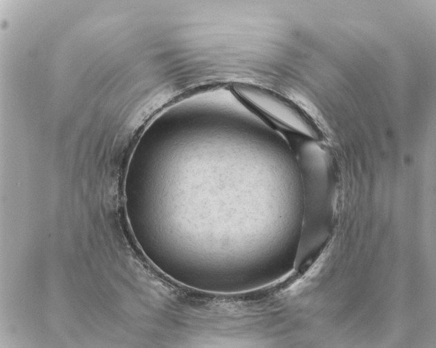 X0000087390977200705042006