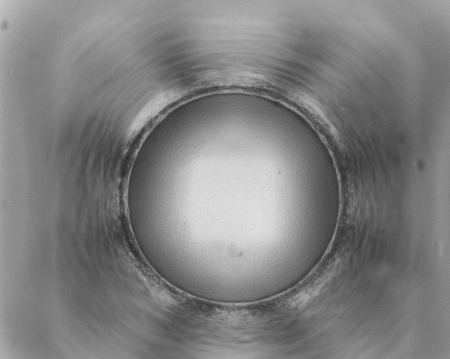 X0000087390978200705042006