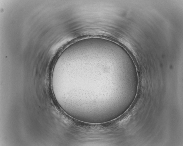 X0000087390979200705042006