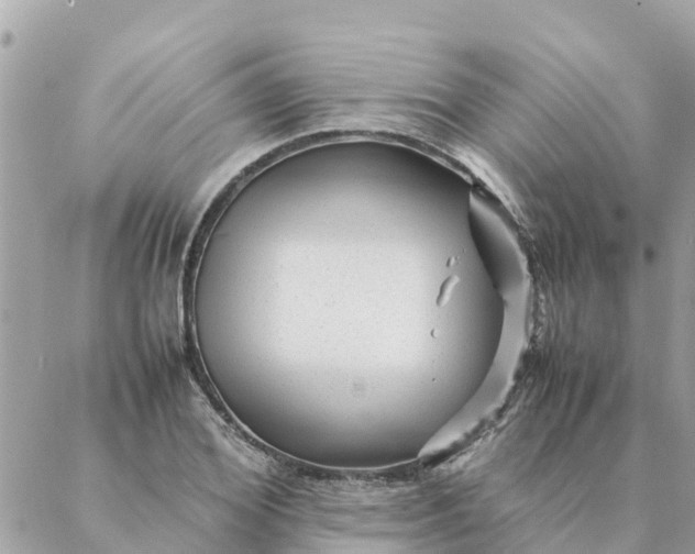 X0000087390980200705042006