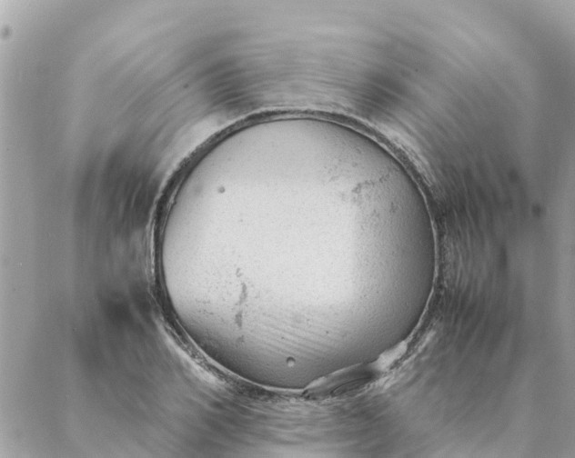 X0000087390982200705042006