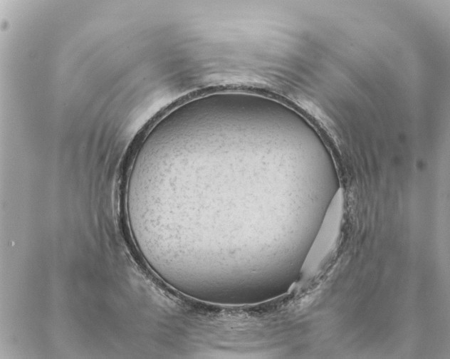 X0000087390983200705042006