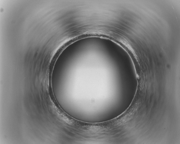 X0000087390984200705042006