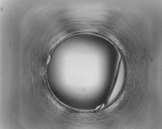 X0000087390985200705042006