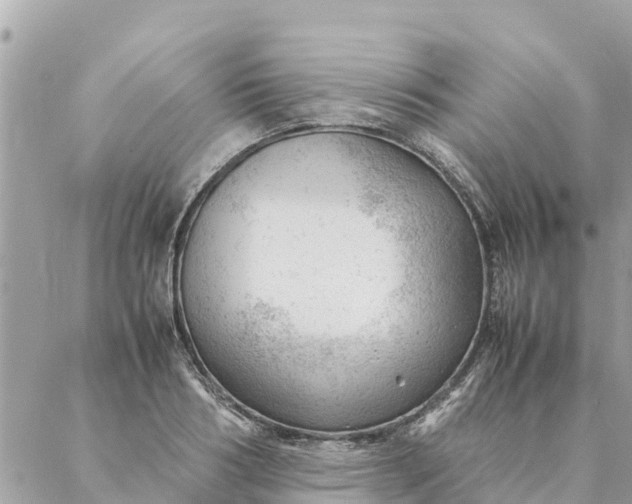 X0000087390986200705042006