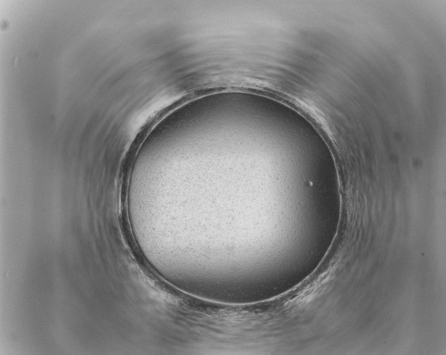 X0000087390987200705042006