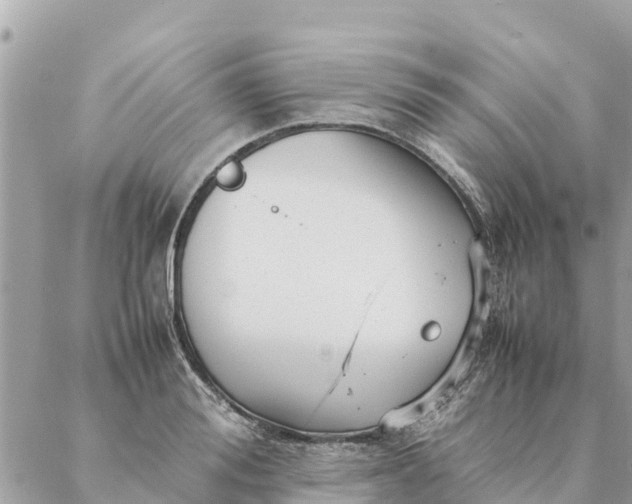 X0000087390988200705042006