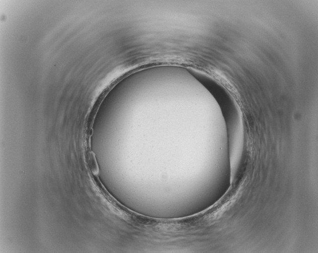 X0000087390989200705042006