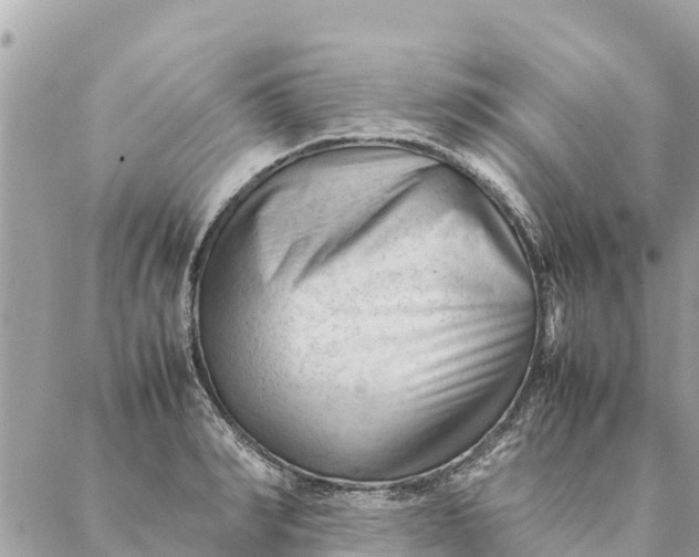 X0000087390990200705042006