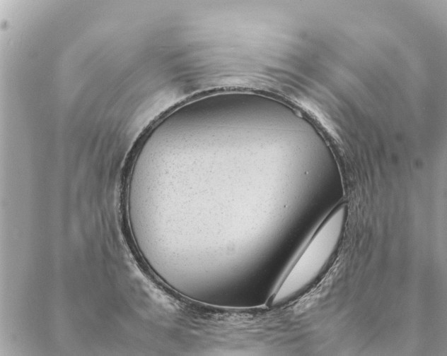 X0000087390991200705042006