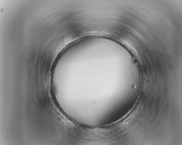 X0000087390992200705042006