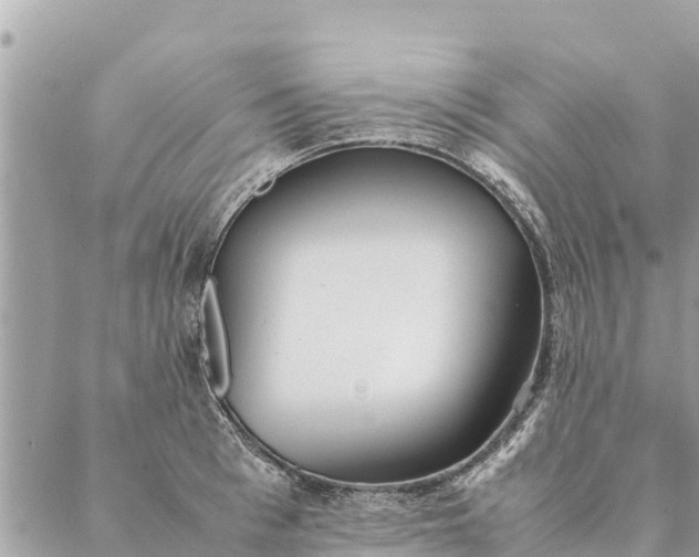 X0000087390993200705042006