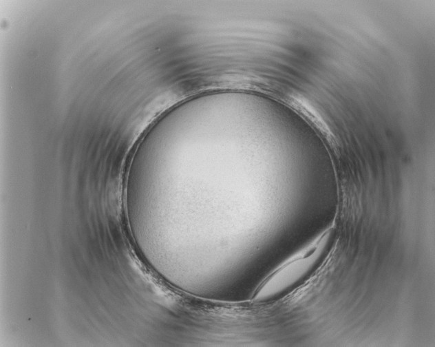 X0000087390994200705042006