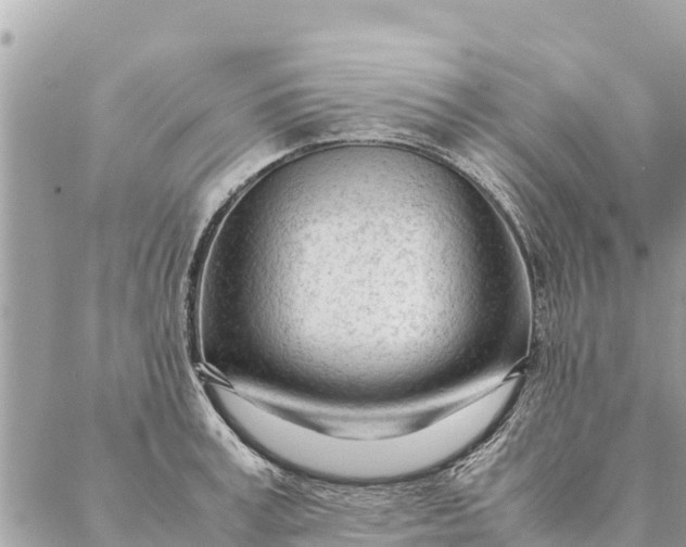 X0000087390995200705042006