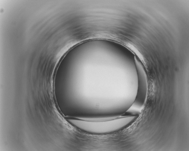 X0000087390996200705042006