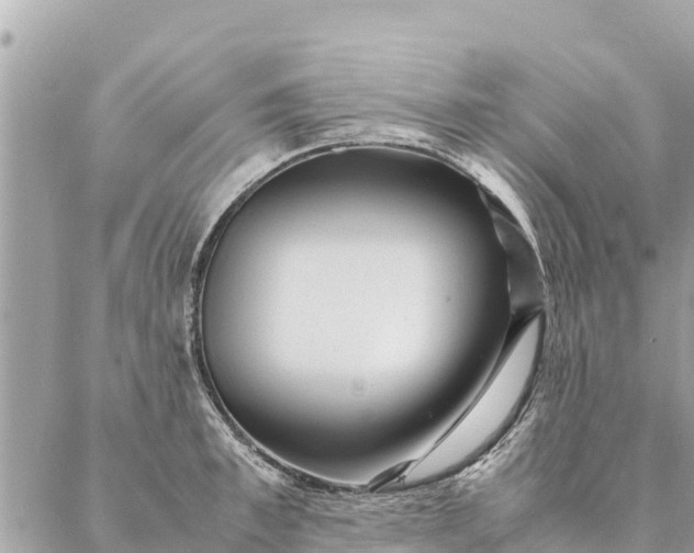 X0000087390997200705042006