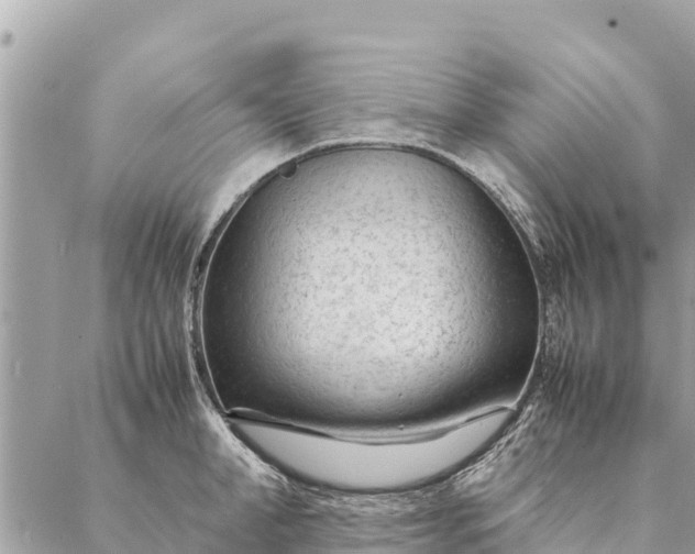 X0000087390998200705042006