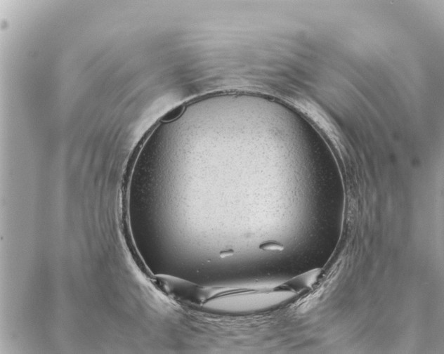 X0000087390999200705042006