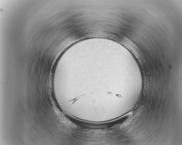 X0000087391000200705042006