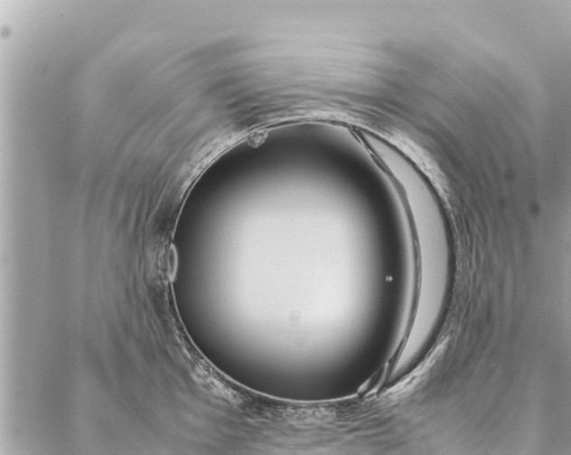 X0000087391001200705042006