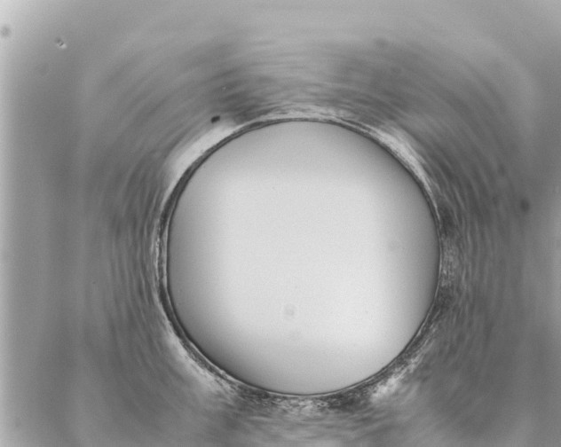 X0000087391003200705042006