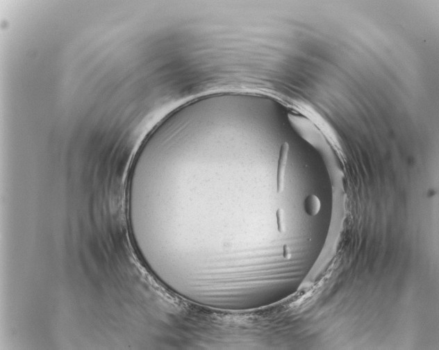 X0000087391004200705042006