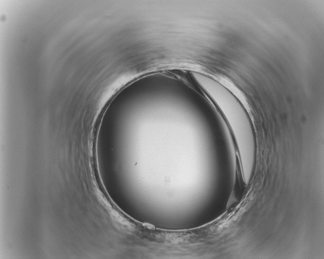 X0000087391005200705042006