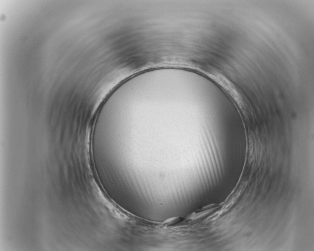 X0000087391006200705042006