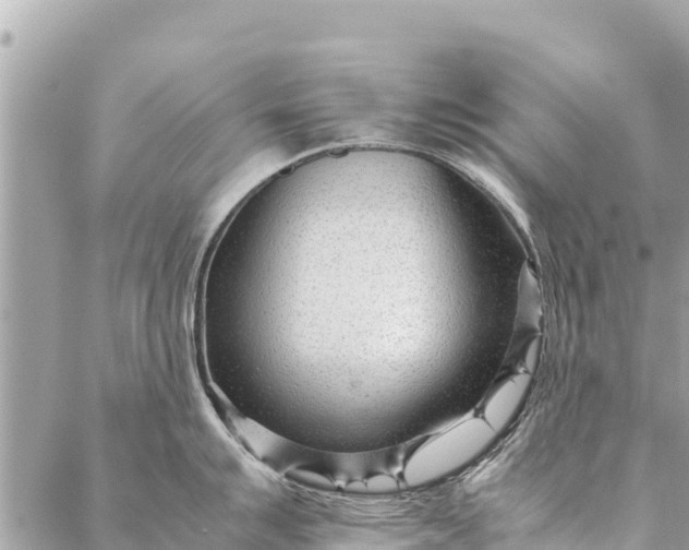 X0000087391007200705042006