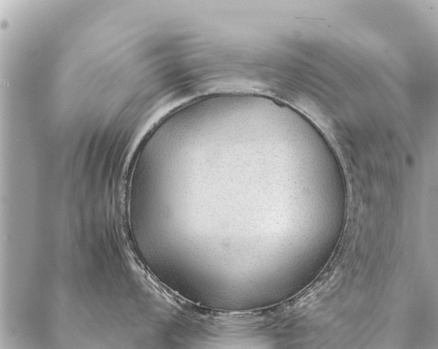 X0000087391008200705042005