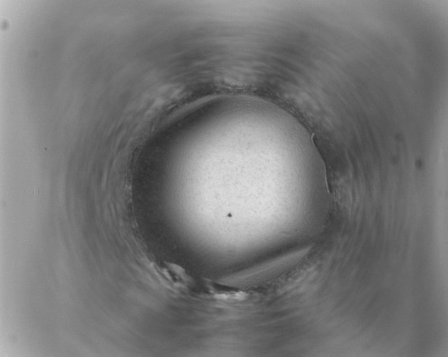 X0000087391009200705042005